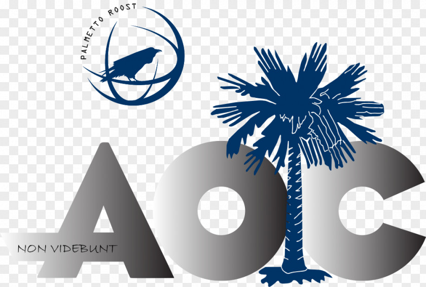 Sabal Palm Flag Of South Carolina Arecaceae Palmetto Properties Mb Business PNG