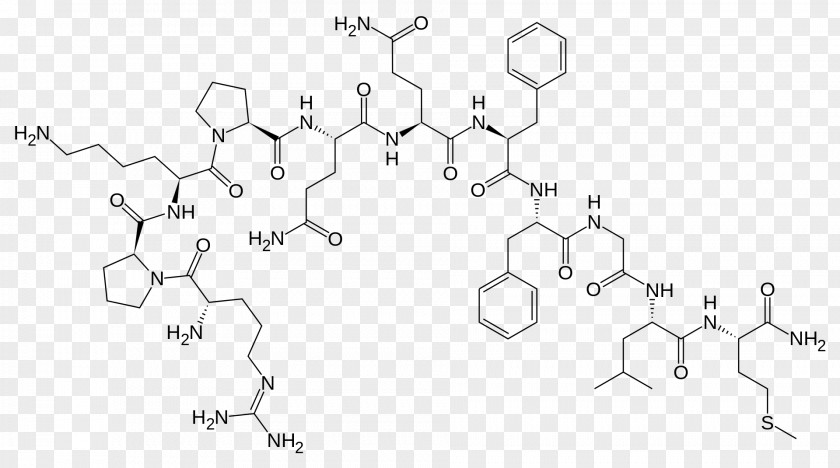 Substanz Substance P Neuropeptide Neurotransmitter Tachykinin Peptides PNG