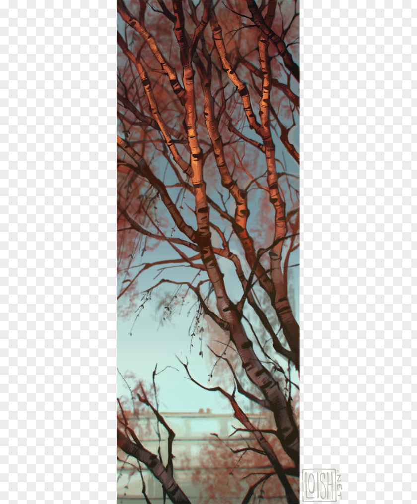 Tree Artist Drawing Birch PNG