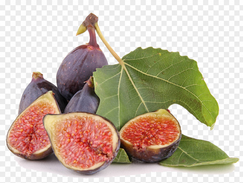Fig Leaf Common Stock Photography PNG