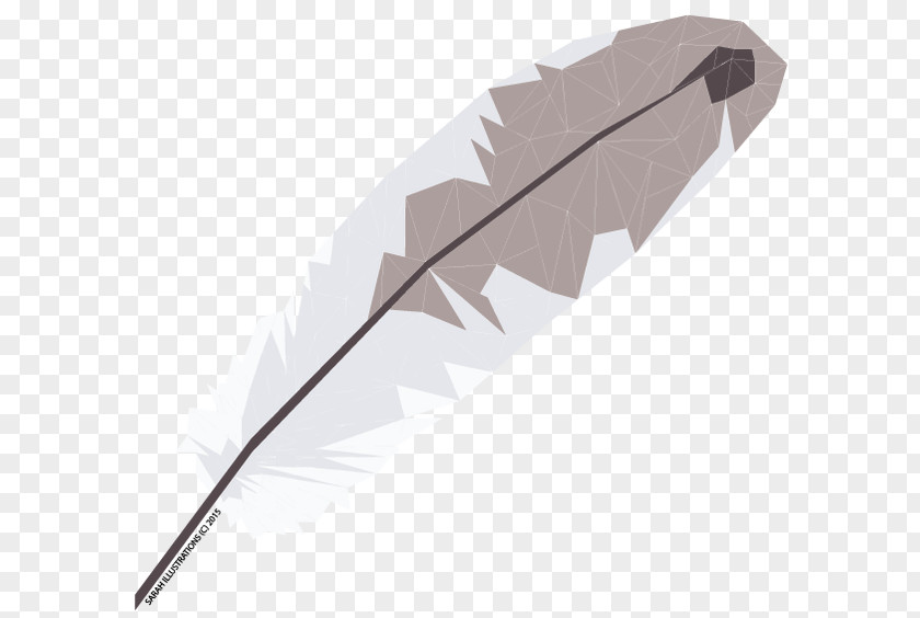 Geometry Illustration Feather PNG