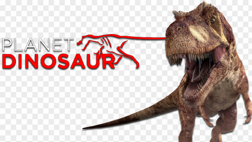 Hddinosaur Tyrannosaurus Argentinosaurus Velociraptor Dinosaur Television PNG