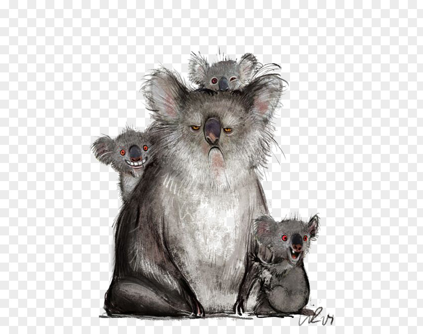 Koala Humour Blog Website PNG