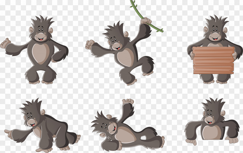 Monkey Photography Drawing PNG