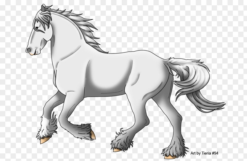 Mustang Mane Stallion Colt Pack Animal PNG