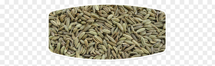 Oil Fennel Seed Food Spice PNG