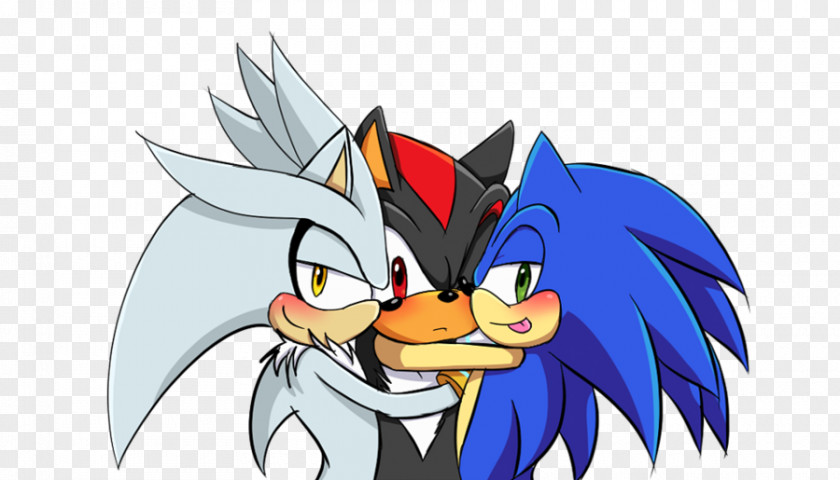 Shadow The Hedgehog Sonic And Black Knight Mephiles Dark Amy Rose Silver PNG