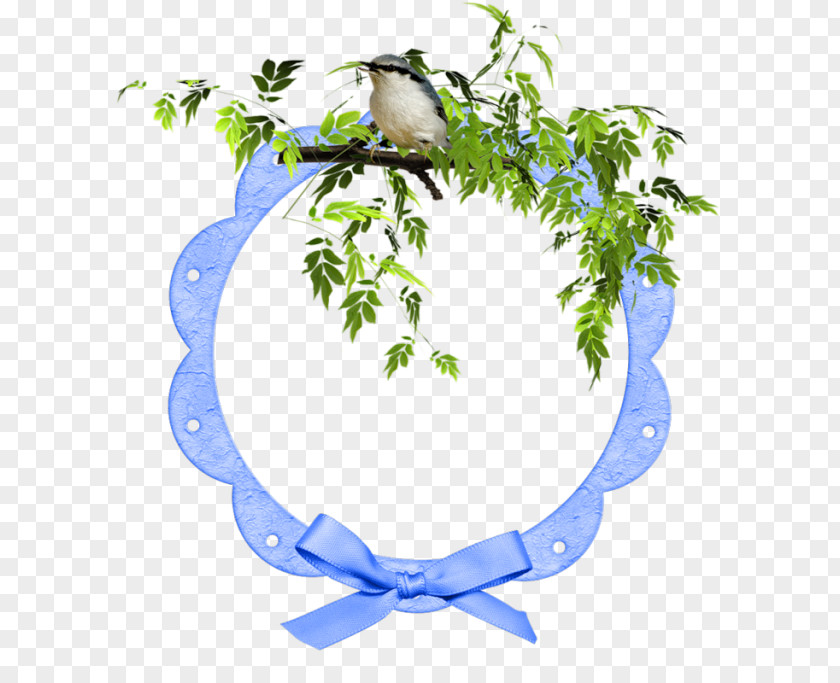 Twig Branch Tree PNG