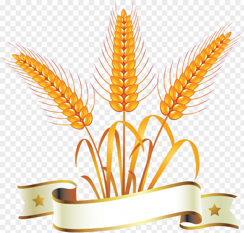 Wheat Logo Bread Clip Art PNG