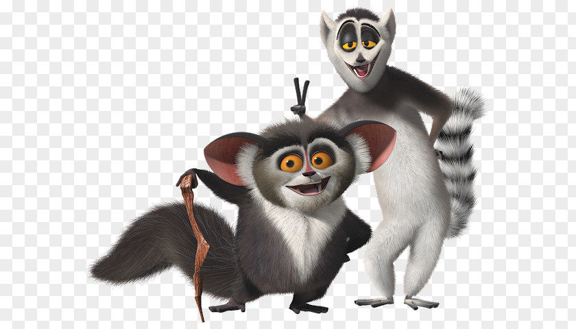 Lemur Symbol Lemurs Julien Mort Madagascar Ring-tailed PNG