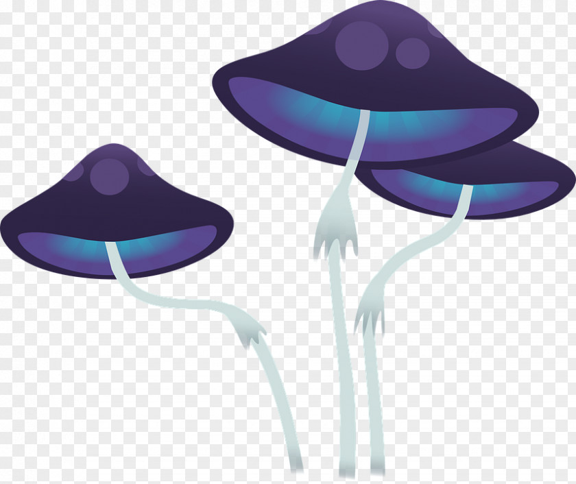Mushroom Clitocybe Acromelalga Cortinarius Armillatus Fungus Pileus PNG