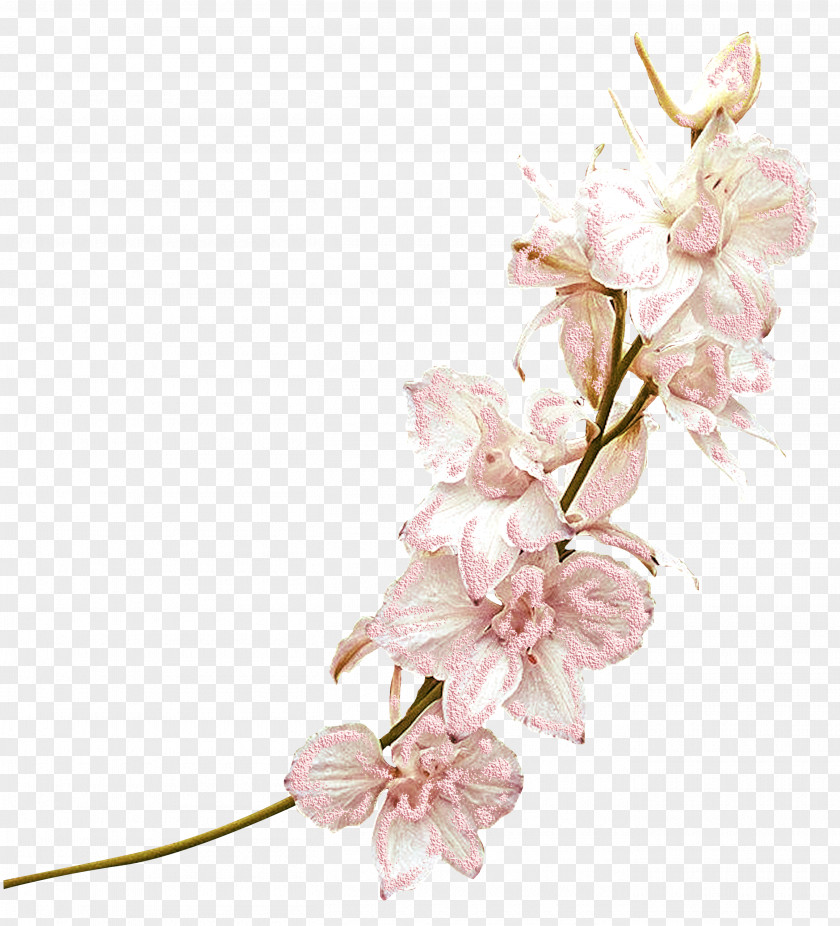 Mystique Cut Flowers Floral Design Adoration Artificial Flower PNG