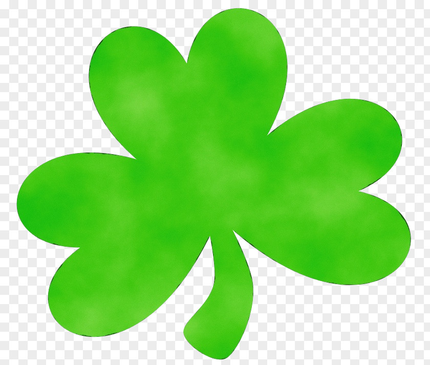 Plant Petal Saint Patrick's Day PNG