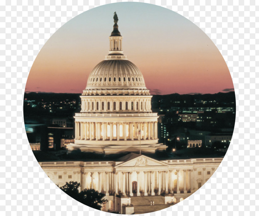 United States Capitol Teksavers Inc Organization Museum Federal Government Of The PNG