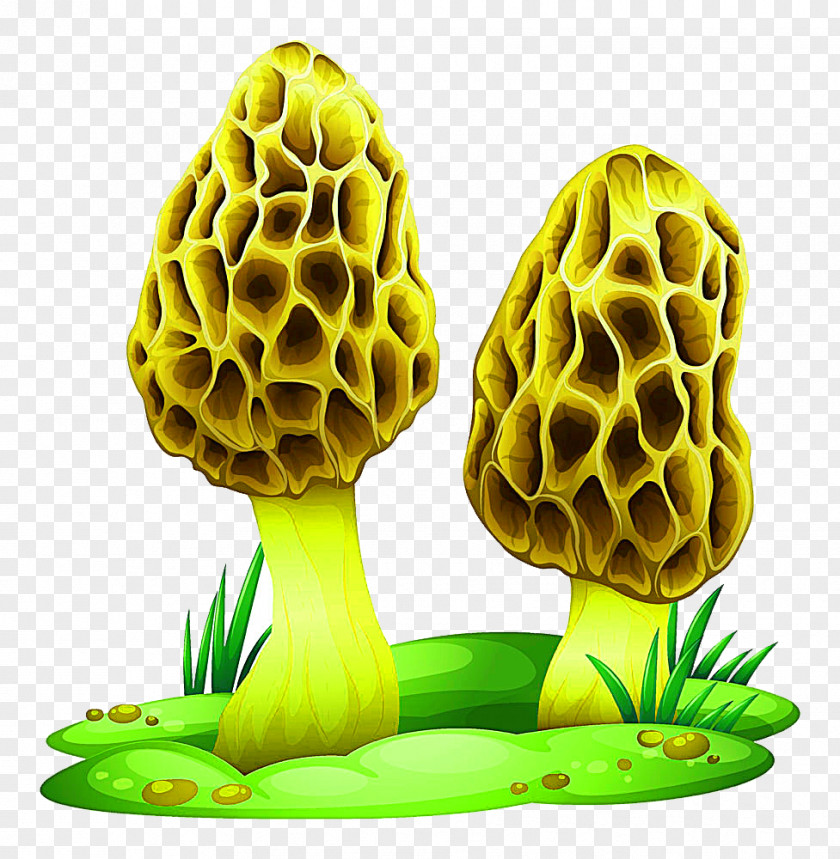 Cartoon Mushroom On The Grass Transparency And Translucency Fungus Illustration PNG