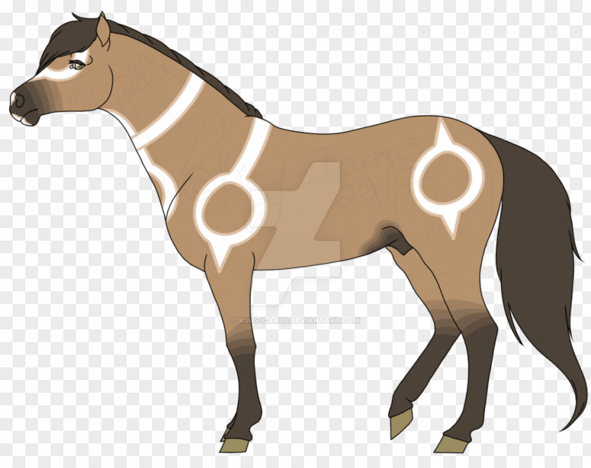 Desert Storm Mule Foal Stallion Mare Rein PNG