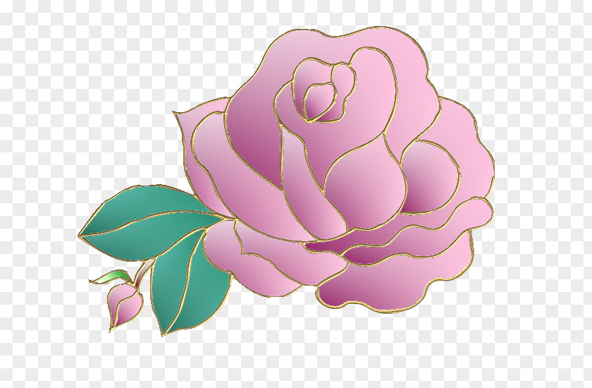 Design Garden Roses Cabbage Rose Petal Floral PNG