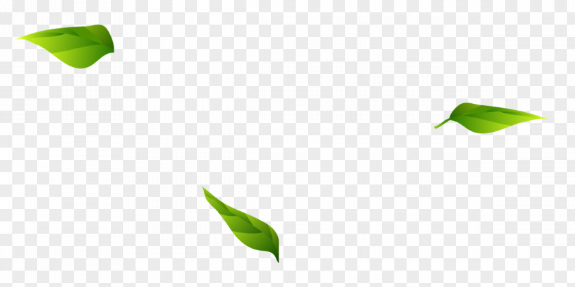 Green Leaves Leaf Angle Pattern PNG