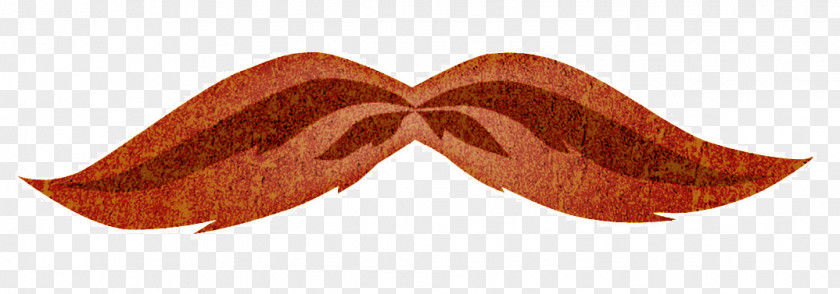 Mustache Constest The Unexpected Inheritance Of Inspector Chopra Mystery Book Detective Moustache PNG