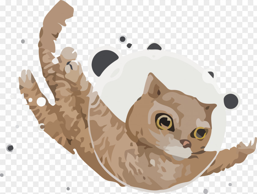 Star Cat Vector Kitten Euclidean Whiskers PNG