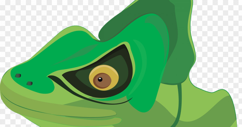 Basilisco Tree Frog True Reptile Illustration PNG