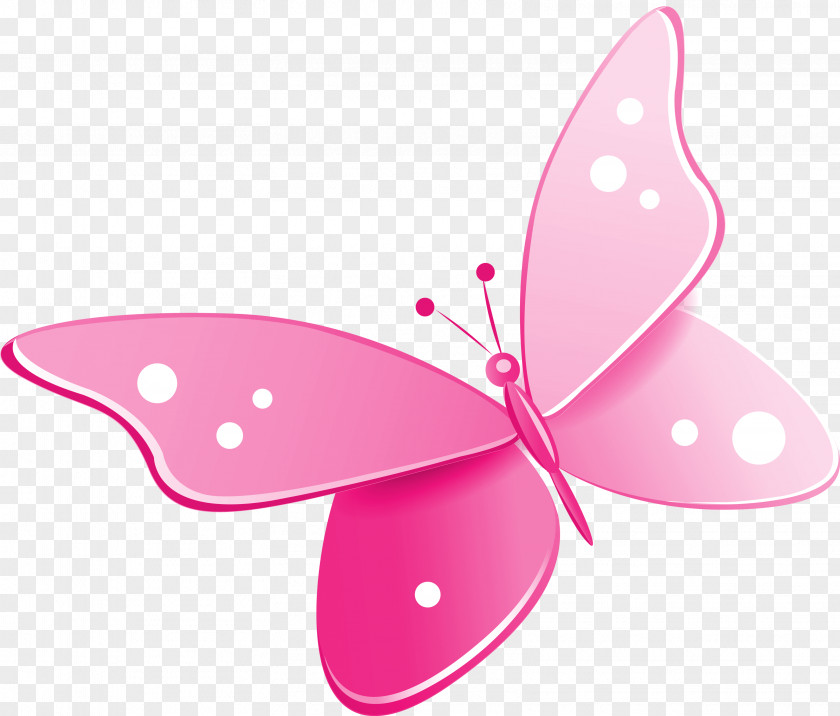 Butterfly Desktop Wallpaper Clip Art PNG