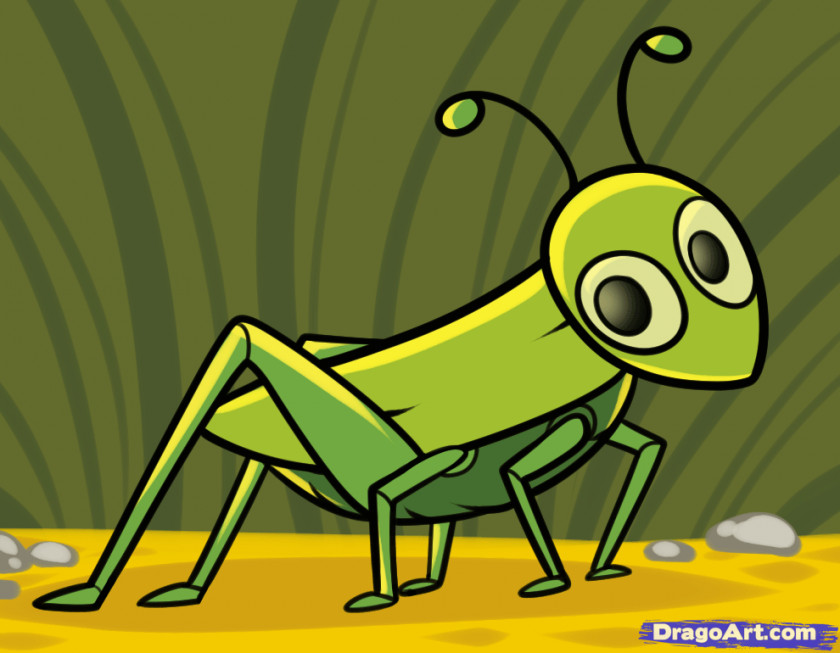 Cartoon Image Of Grasshopper The Ant And Drawing Child Clip Art PNG