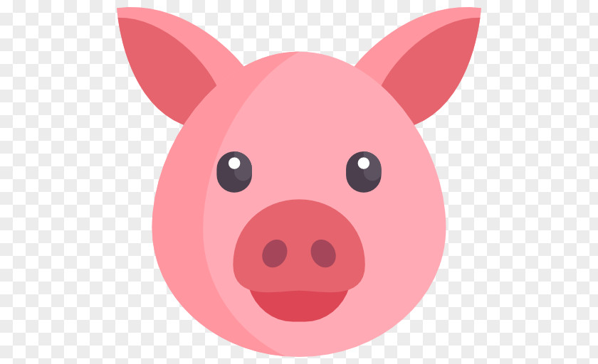 Health One Food Snout Concept PNG
