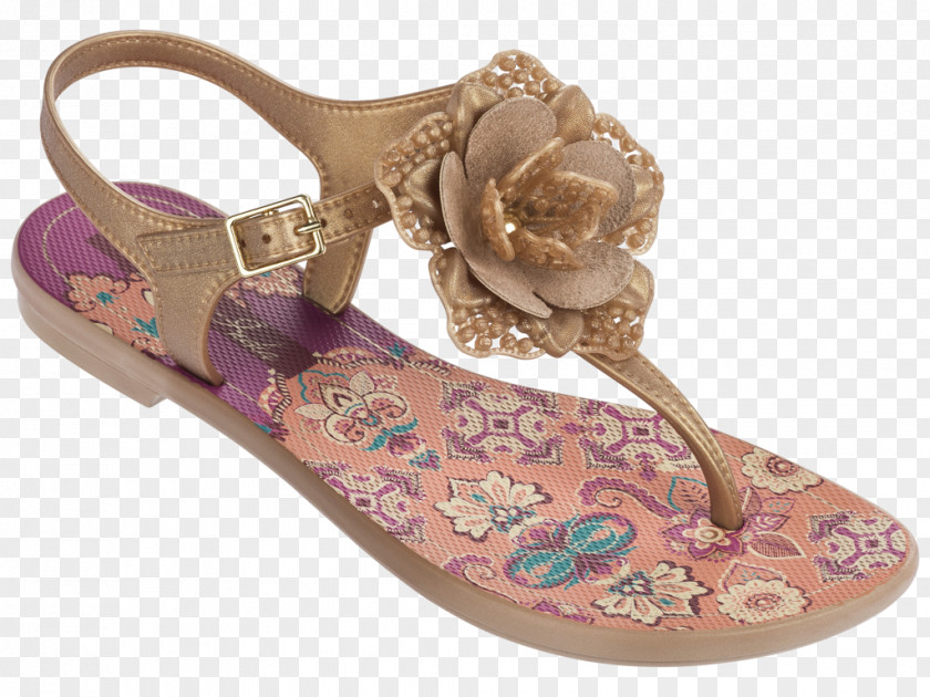Sandal Shoe Footwear Grendene Talla PNG