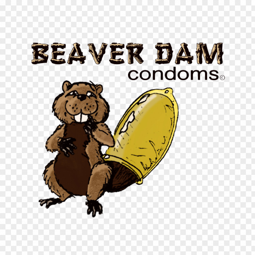 Beaver Dam Bear Arizona PNG