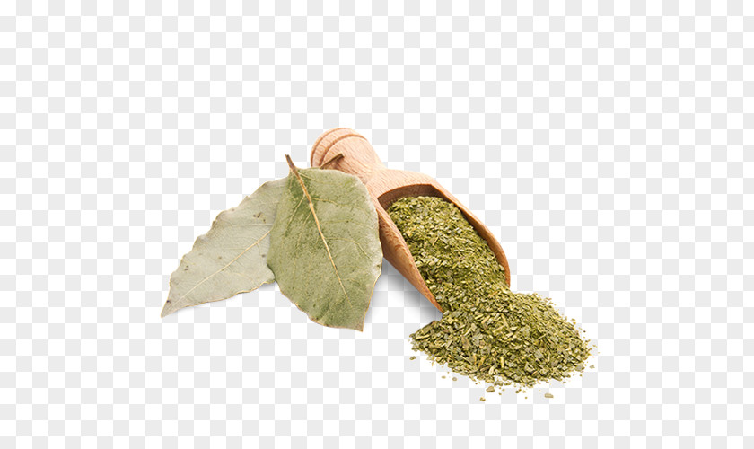 Cooking Bay Leaf Herb Mediterranean Cuisine Tincture PNG