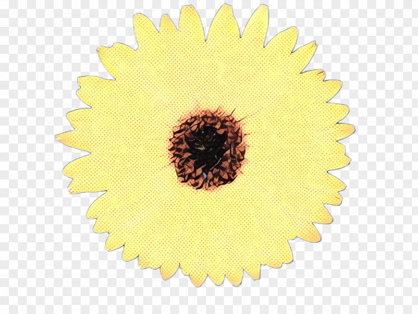 Daisy Family Petal Sunflower PNG