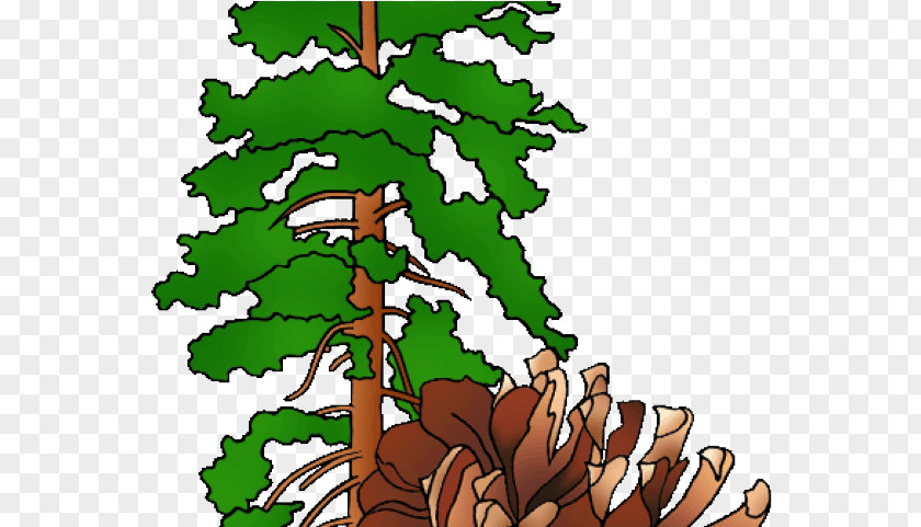 Fir Forest Pine Tree Silhouette PNG