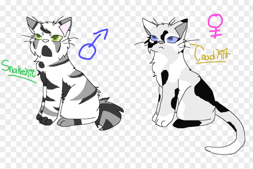 Kitten Whiskers Cat Dog Horse PNG