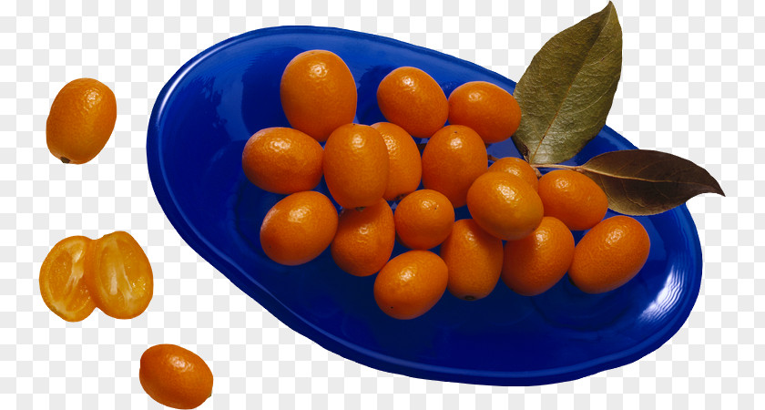 Orange Juice Cocktail Fruit PNG