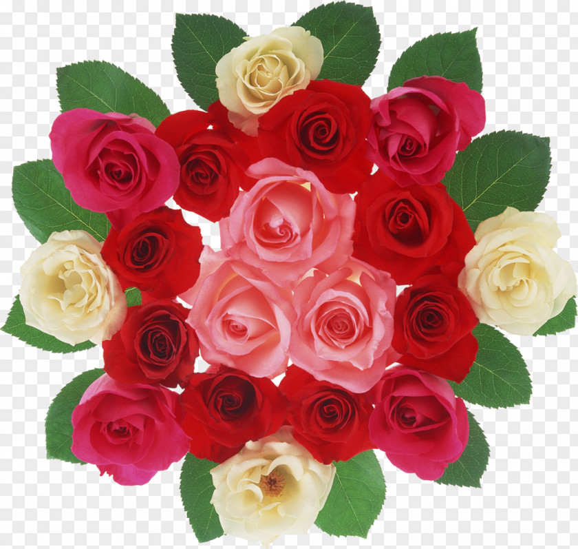 Garden Roses PNG