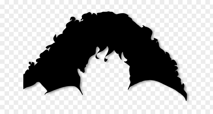 Hair Wig Black Clip Art PNG