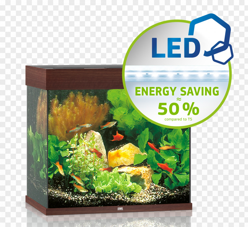 Light Aquarium Filters Juwel Lido 120 Cabinet Tropical Fish PNG