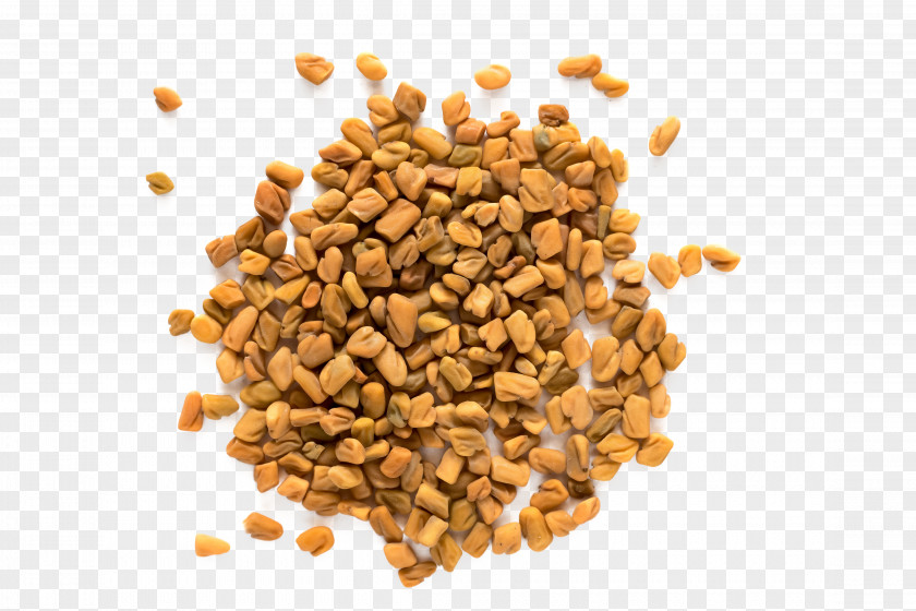 Seeds Fenugreek Indian Cuisine Herb Spice Stock Photography PNG