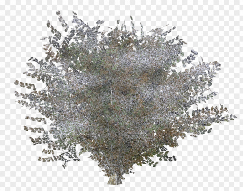 Snow Tree Shrub Clip Art PNG