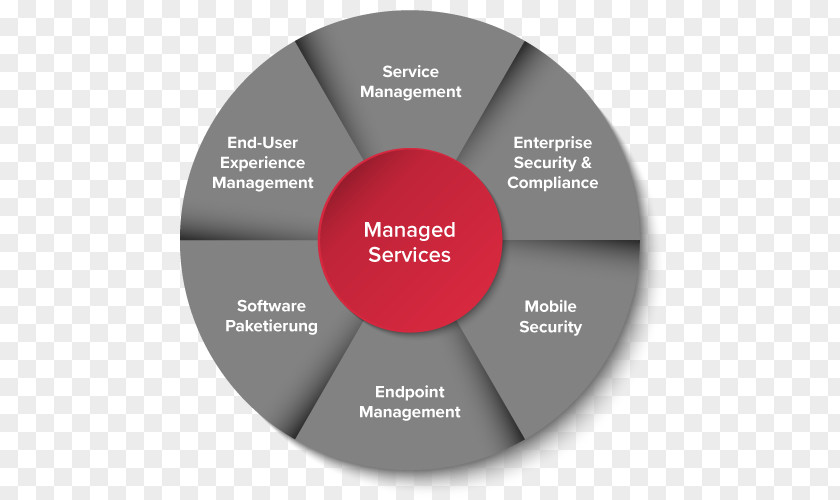 Teamleader Managed Services Service Management Computer Software PNG