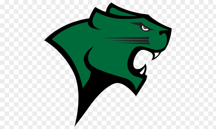 Basketball Chicago State University Cougars Men's Women's Grand Canyon Western Athletic Conference PNG
