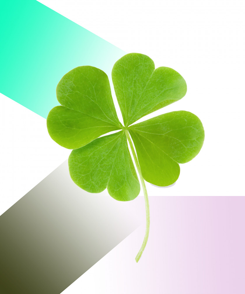 Clover Four-leaf Luck Symbol PNG