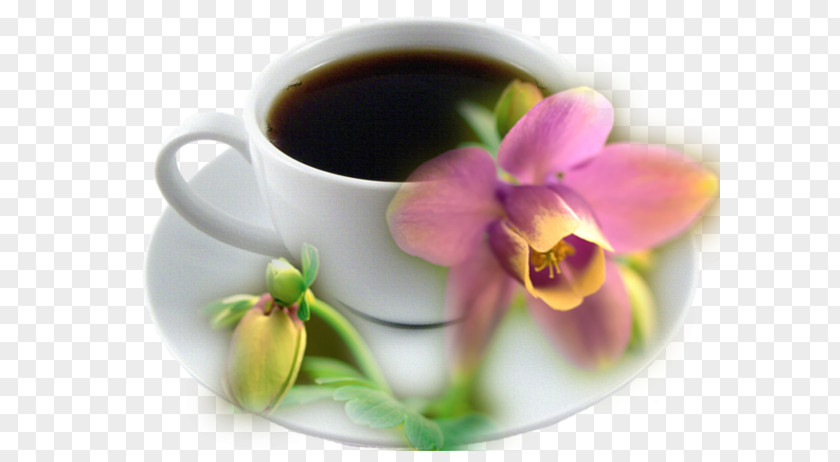 Coffee Cup Brown Sugar Pink Flowers Morning Wednesday PNG