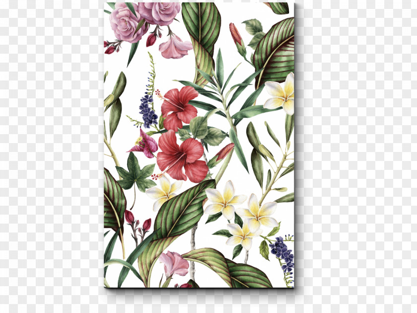 Flower Wallpaper Watercolor Painting PNG