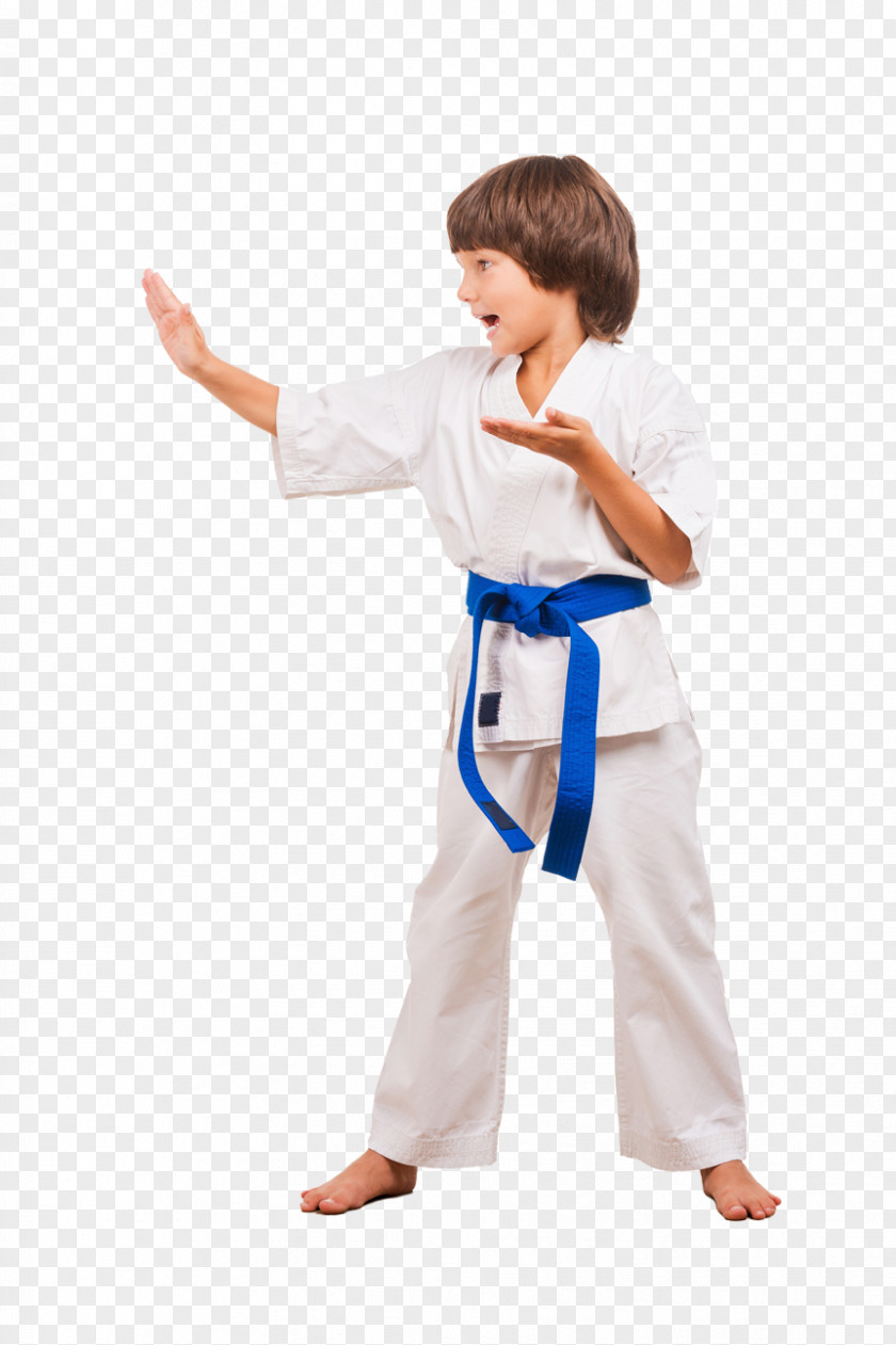 Karate Judo Jujutsu Black Belt Stock Photography PNG