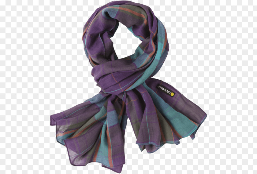 Women Scarf PNG