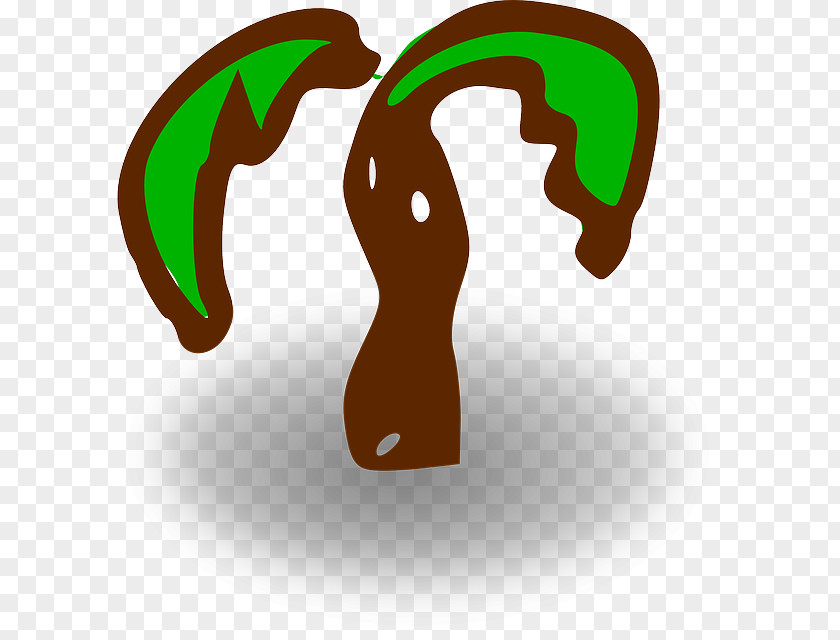 Free Trees Buckle Elements Arecaceae Clip Art PNG