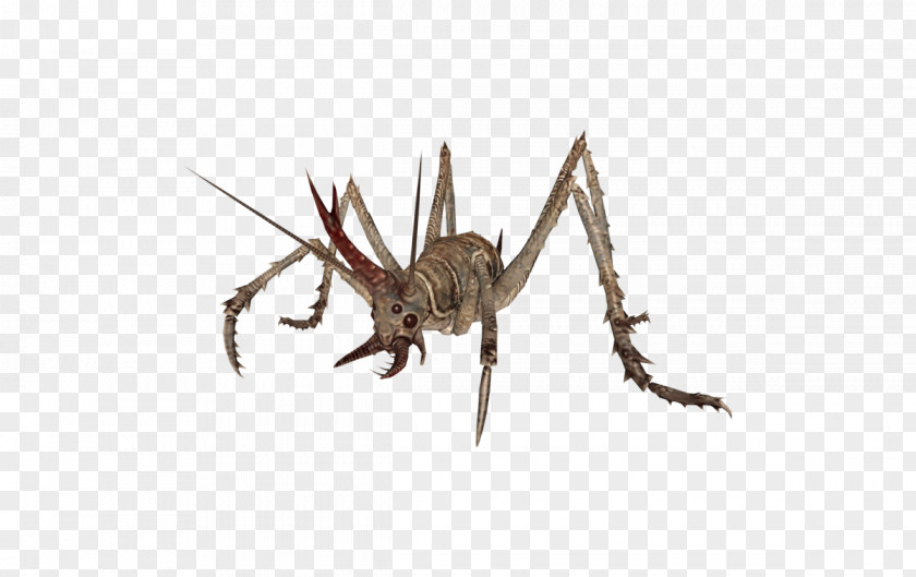 Insect Fallout 4: Nuka-World Fallout: New Vegas 3 Cave Crickets PNG