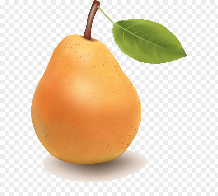 Pear Tangerine Fruit Tangelo PNG